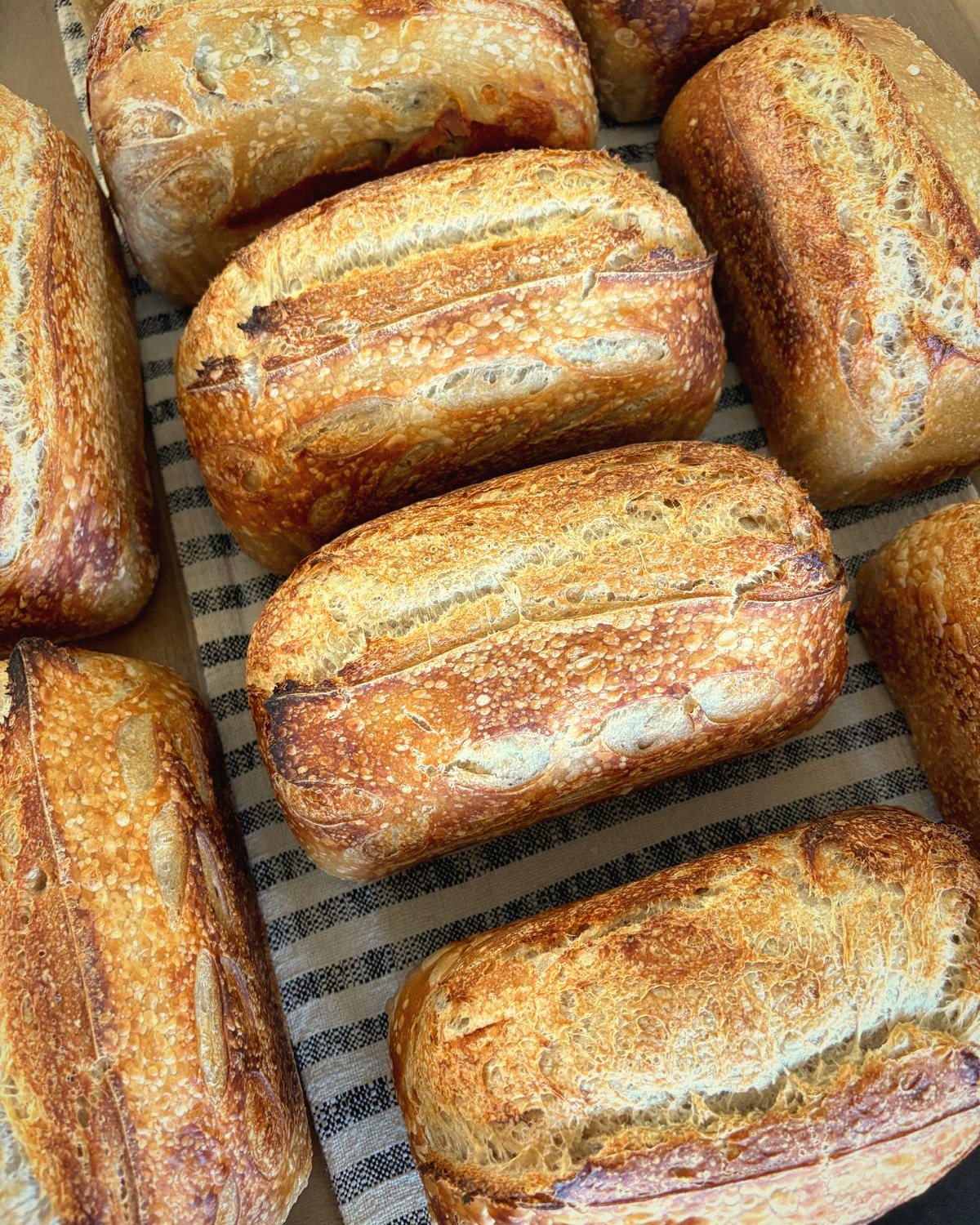 Baked sourdough loaves on a linen towel