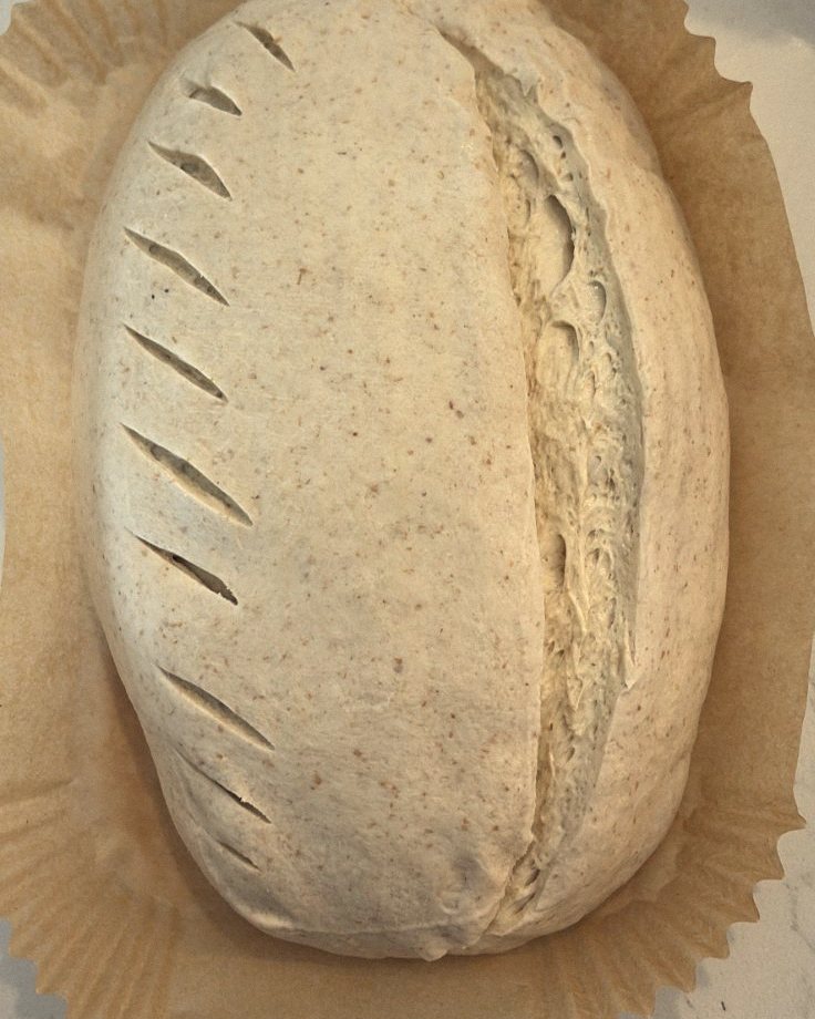 Scored dough ready for the oven